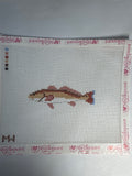 Red Drum Mini