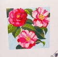 C-BBP-03-Camellia 5"