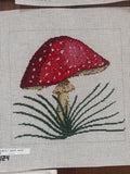 c-KCN-09-Fly Agaric on White Canvas