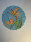 Bird Of Paradise
