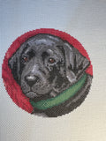 Black Lab Paws