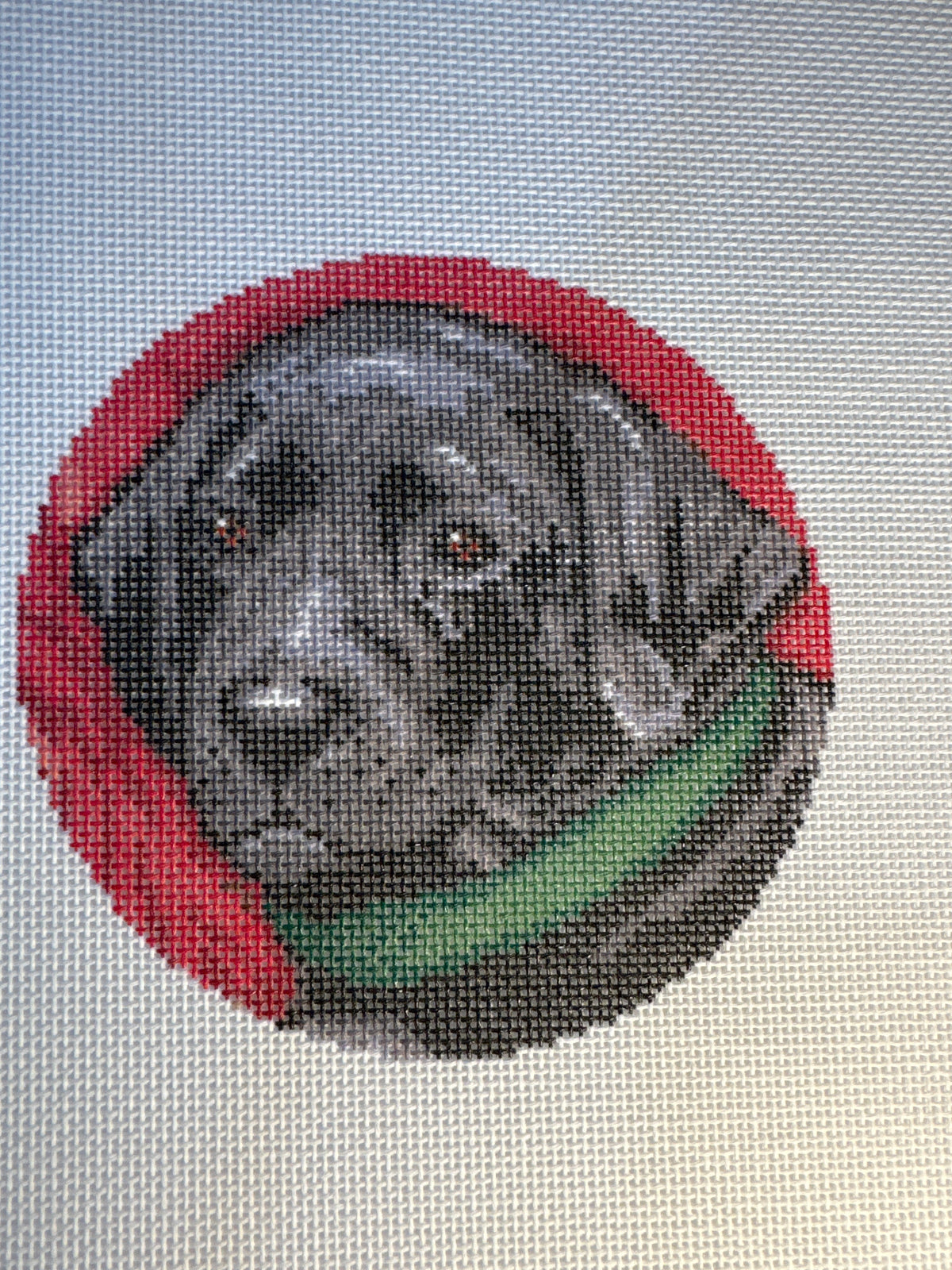 Black Lab Paws