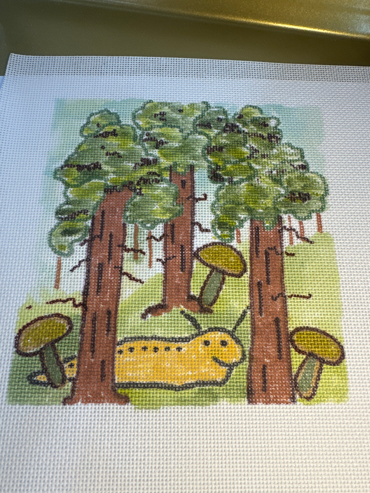 Slugs in the Redwoods (2)