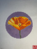 Poppy Flowers of America