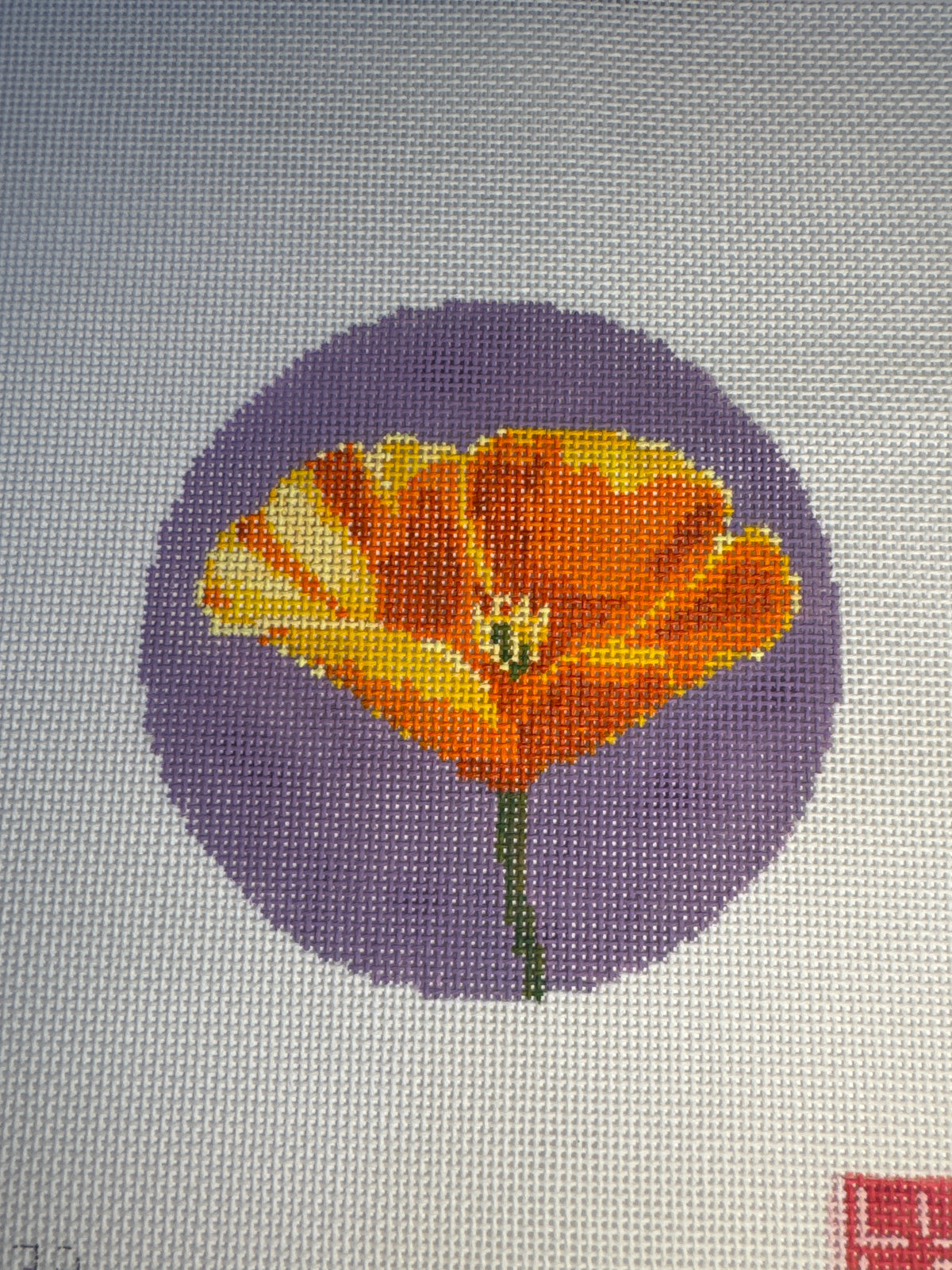 Poppy Flowers of America