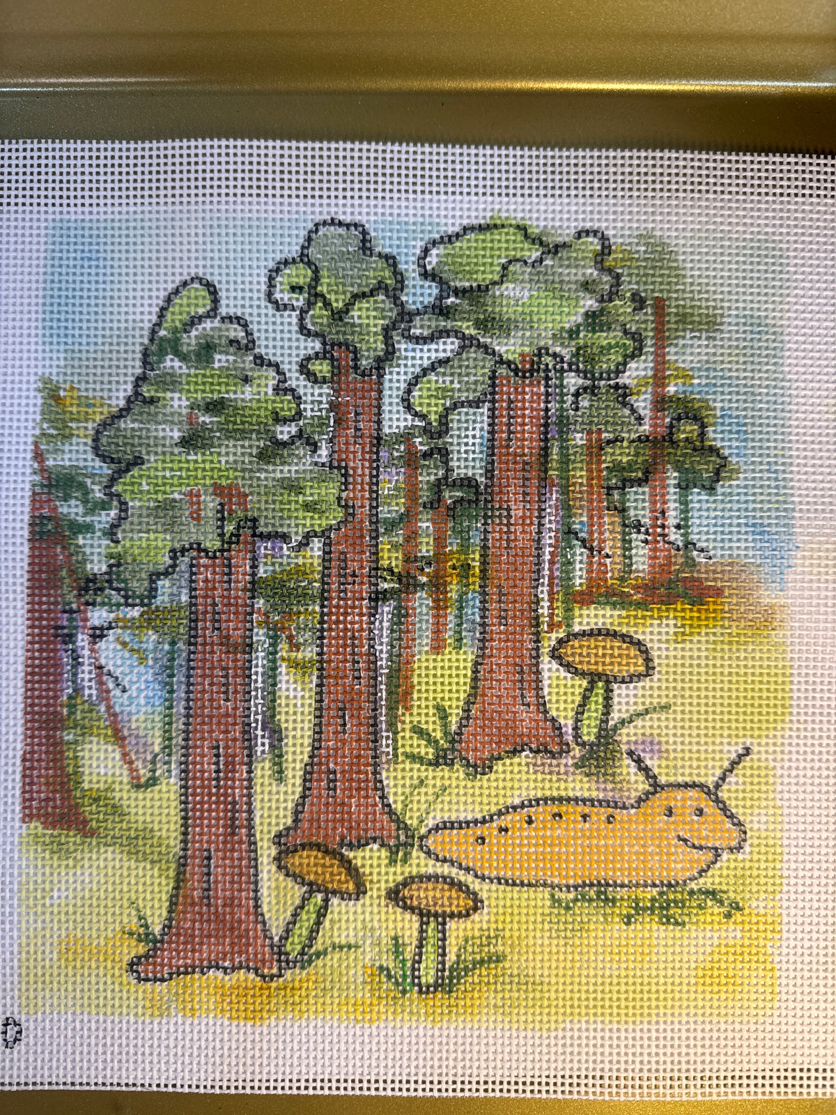 Slugs in the Redwoods