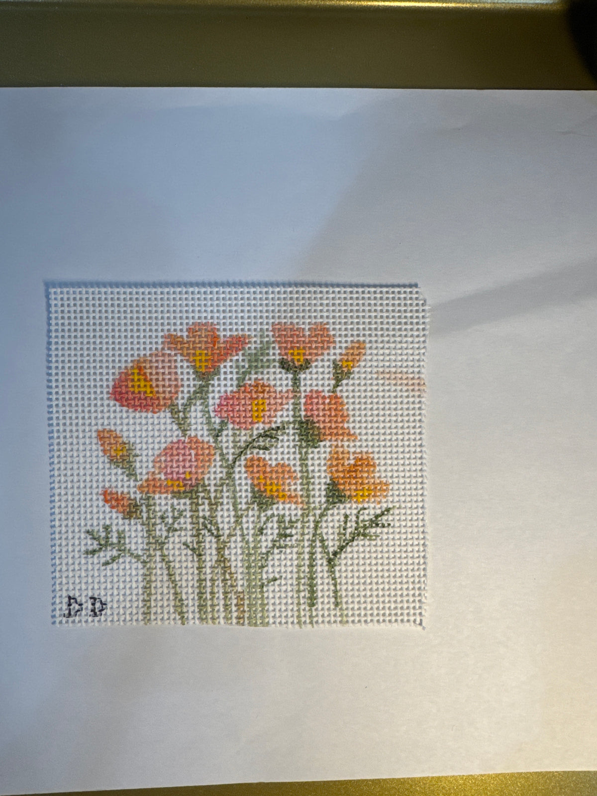 Beautiful Poppies