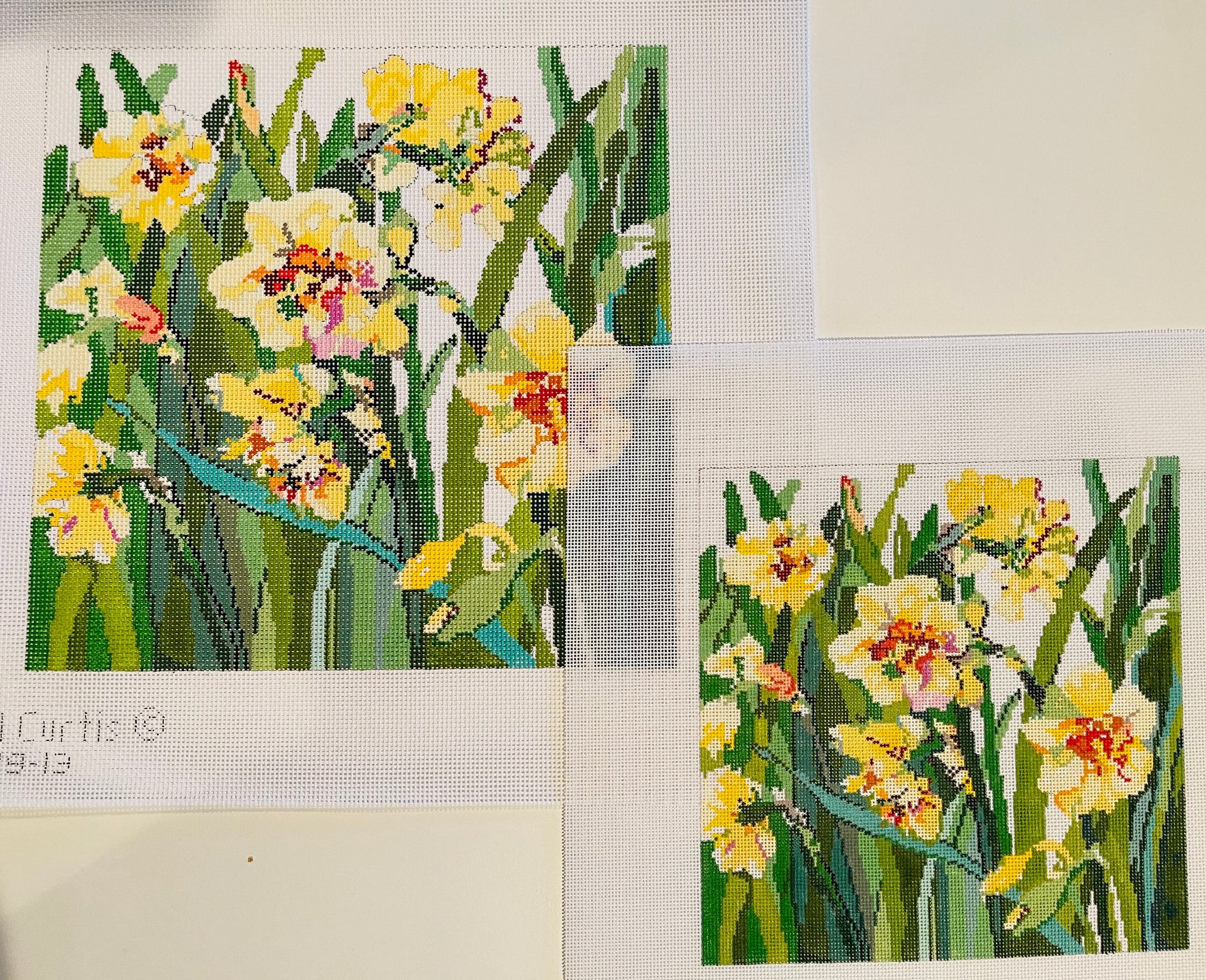 C-CC-03-Daffodils 18 Mesh
