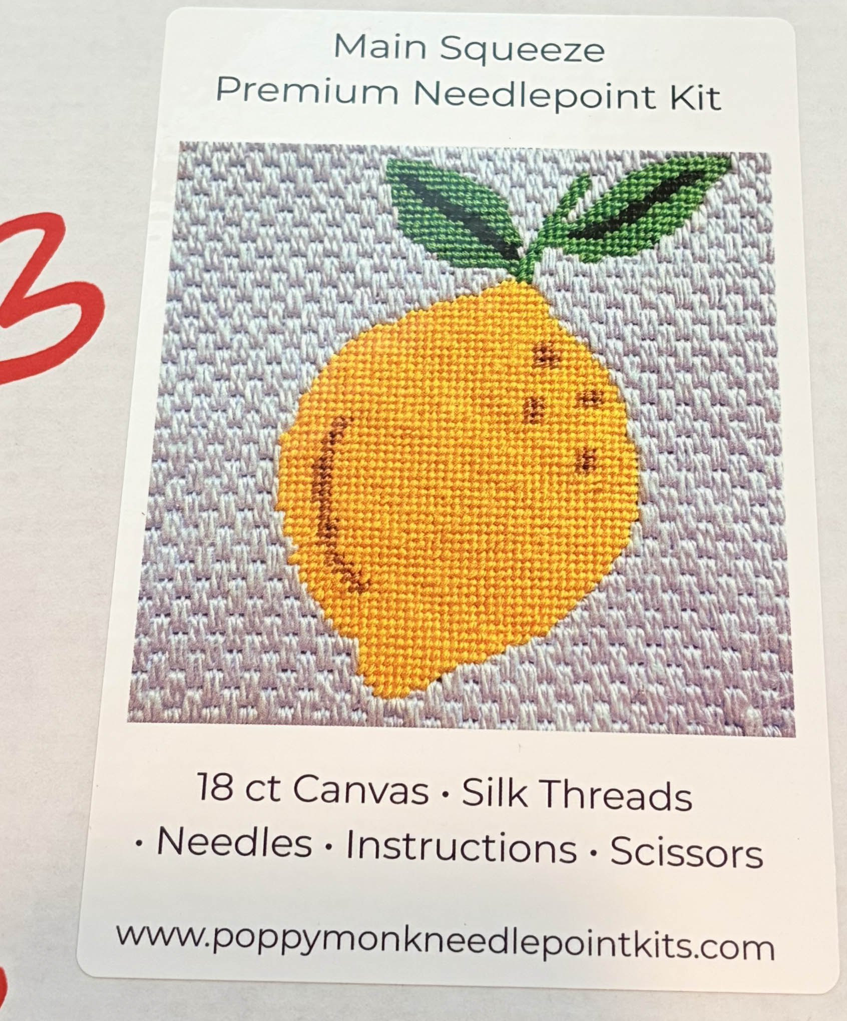 C-PM-02 Main Squeeze Needlepoint Kit